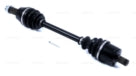 KI296140 (PAXL-1137)